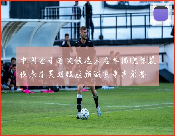 中国金手套奖候选人名单揭晓陈晨侯森李昊刘殿座颜骏凌争夺荣誉