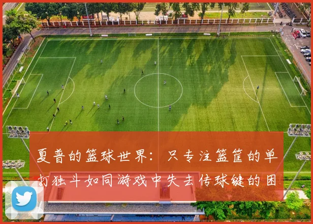 夏普的篮球世界：只专注篮筐的单打独斗如同游戏中失去传球键的困境