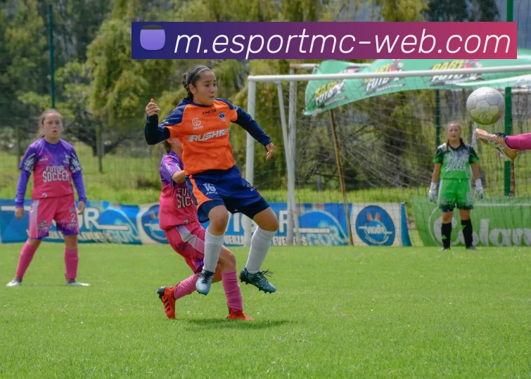 易倍体育APP 封面图